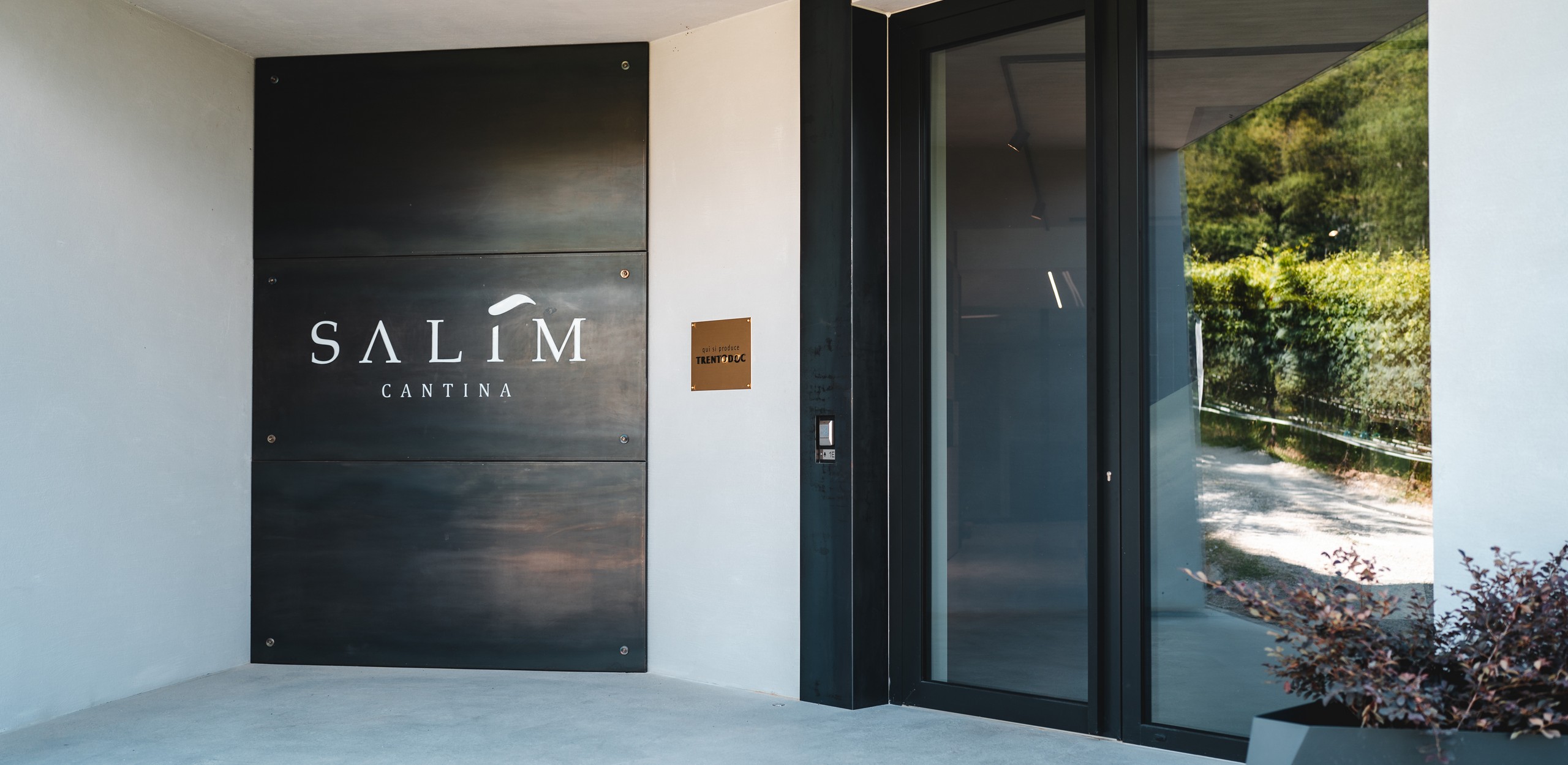 Maso Salim S.r.l. Società Agricola | Wine experience