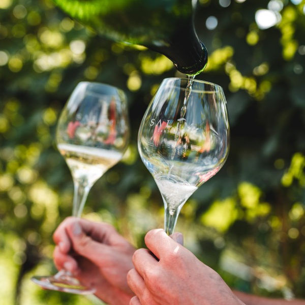 Degustazioni e visite in Cantina Salim