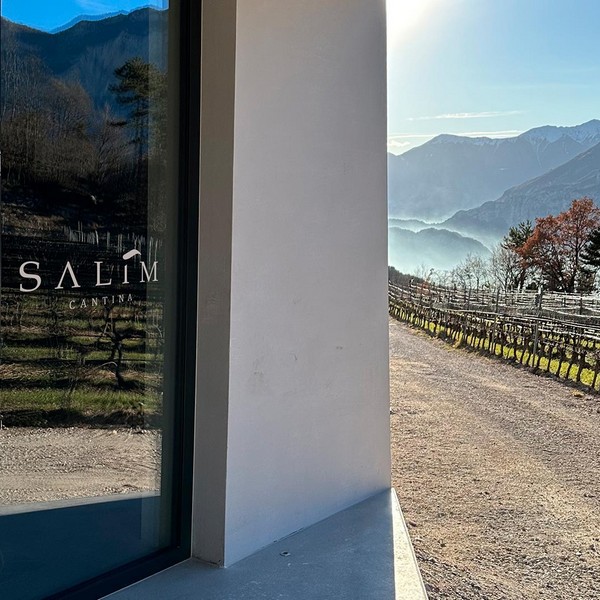 Cantina Salim: il nostro sogno che diventa realtà