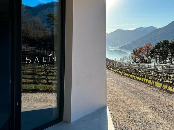 Cantina Salim: il nostro sogno che diventa realtà -