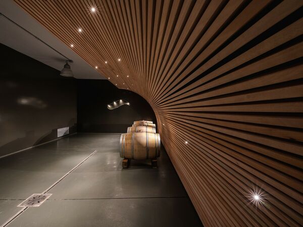Cantina Salim: il nostro sogno che diventa realtà -
