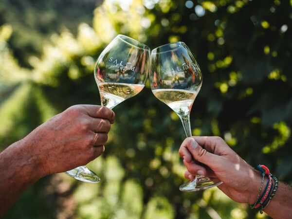 Cantina Salim: il nostro sogno che diventa realtà -