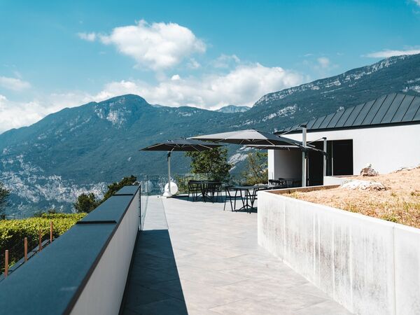 Cantina Salim: il nostro sogno che diventa realtà -