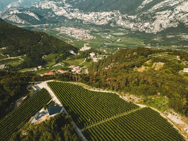 Cantina Salim: il nostro sogno che diventa realtà -