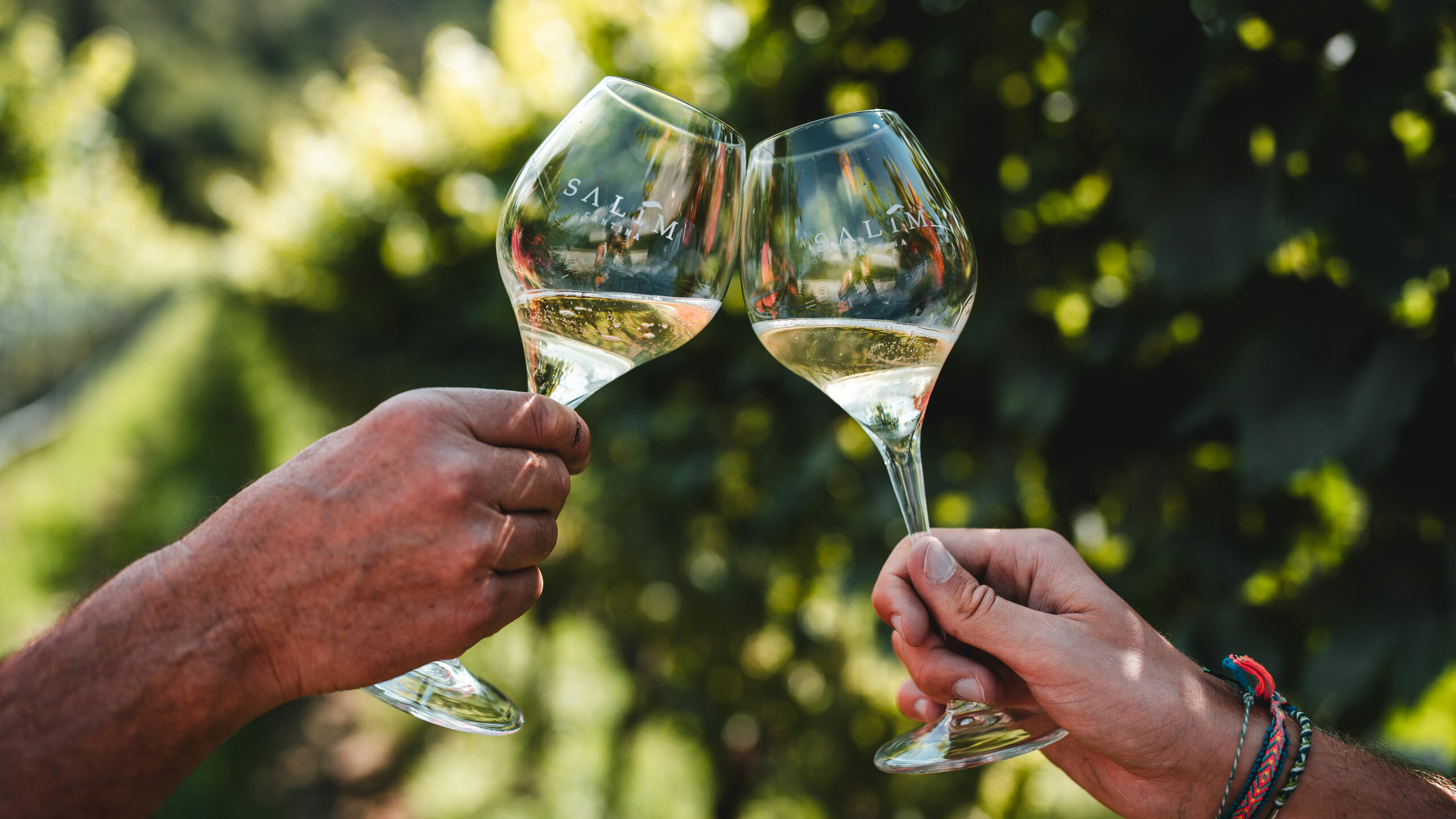 Wine experience - Il nostro mondo <br />in un calice.