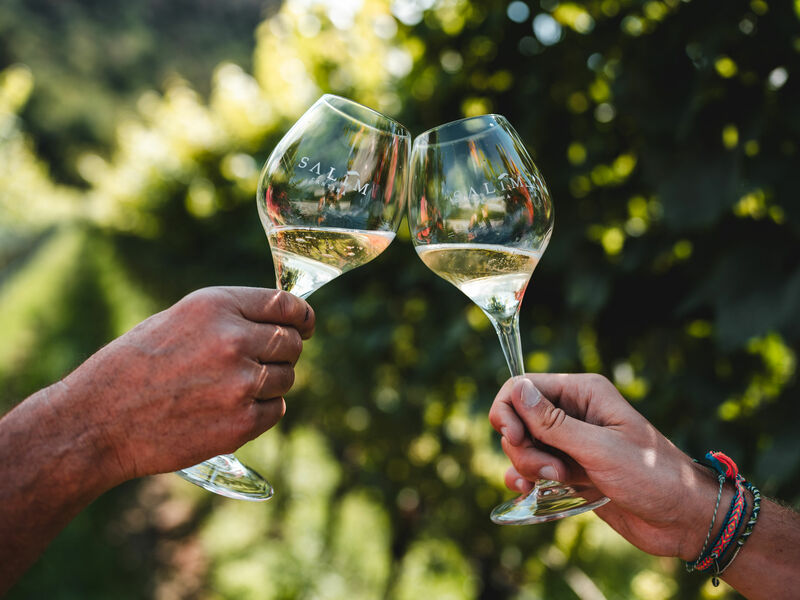 Wine experience - Il nostro mondo <br />in un calice.