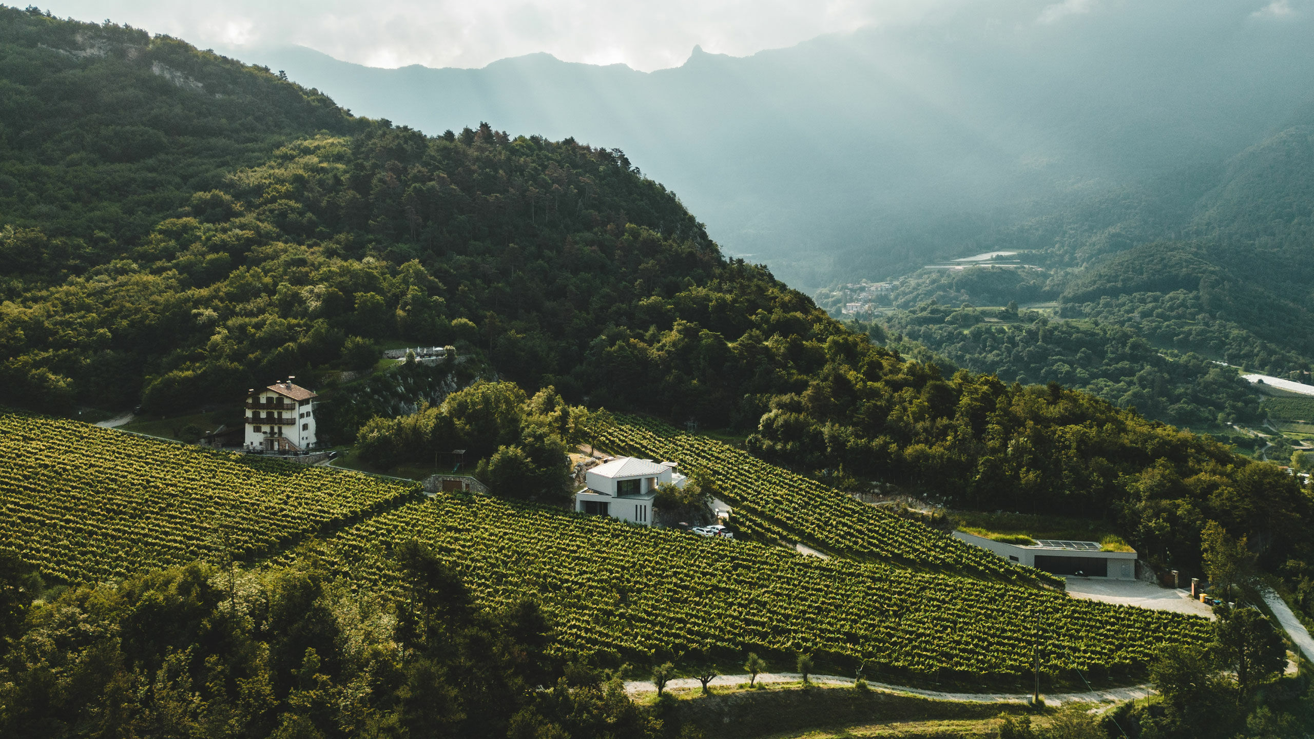 Cantina Salim - Un gioiello nella roccia <br />nel cuore del Trentino