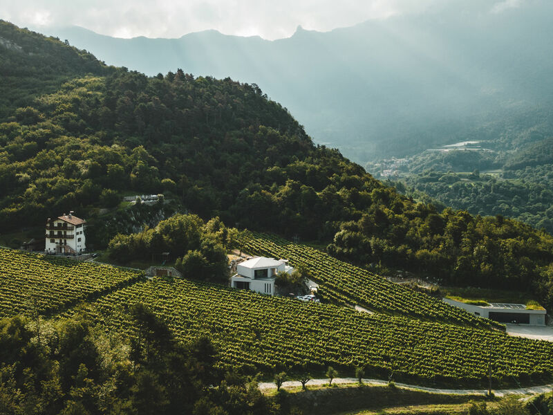 Cantina Salim - Un gioiello nella roccia <br />nel cuore del Trentino